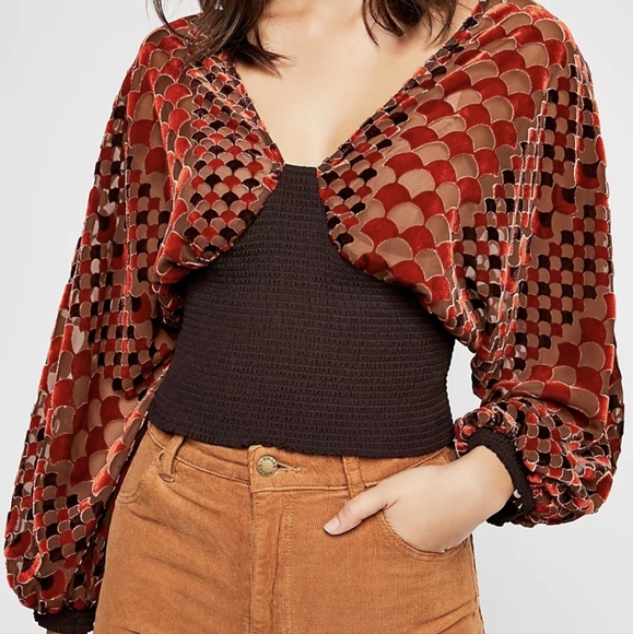 Free People Tops - Free People It's Your World Sheer Velvet Retro Blouse